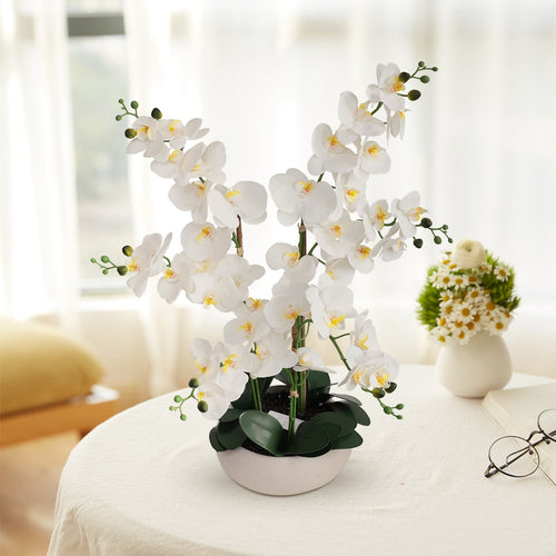 24/41" Tall Artificial Orchid Floral Arrangement with Vase, Faux Orchid Plant for Home Office Living Room Decor, Elegant Indoor Flower Display